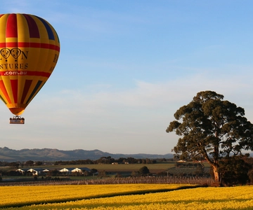 Barossa Valley: Luchtballonvaart