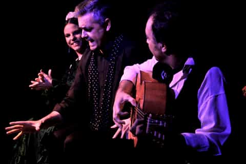 Sevilla: Pura Esencia, espectáculo de flamenco en Triana