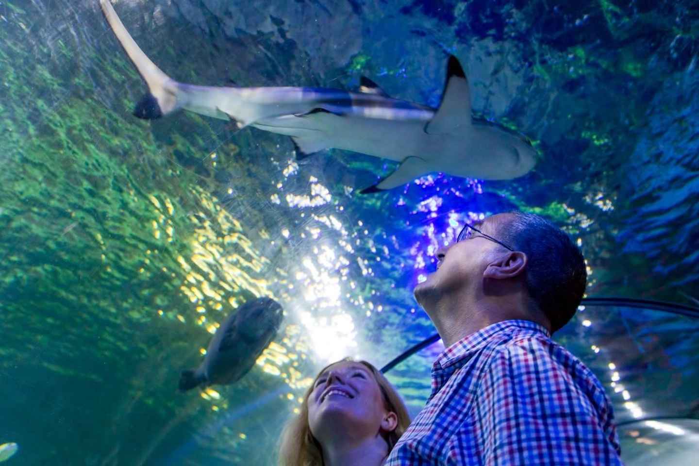 Loch Lomond: Sea Life Entrance Ticket
