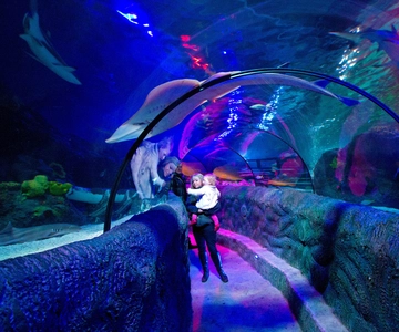 Loch Lomond: Sea Life Entrance Ticket