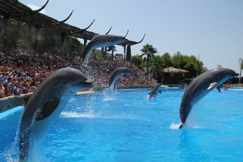 Benidorm: Mundomar Animal Park 1-Day Ticket