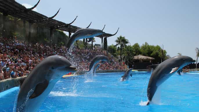 benidorm mundomar animal park 1day ticket