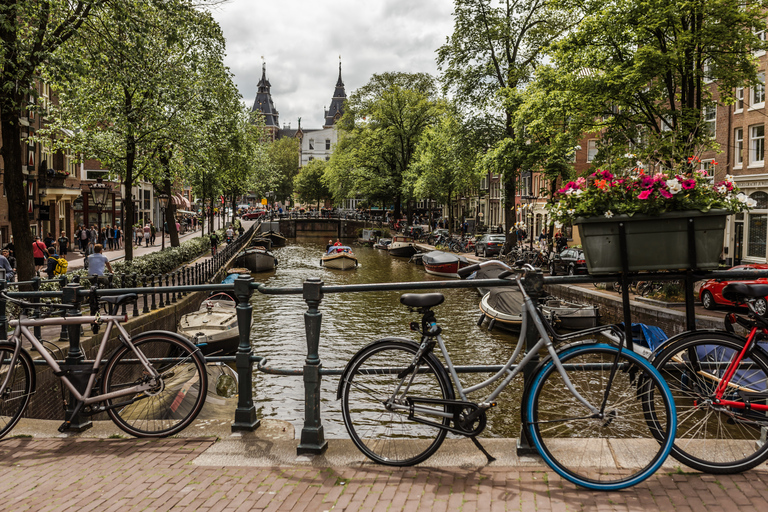 Amsterdã: excursão privada aos bairros fora do comumTour de 4 horas