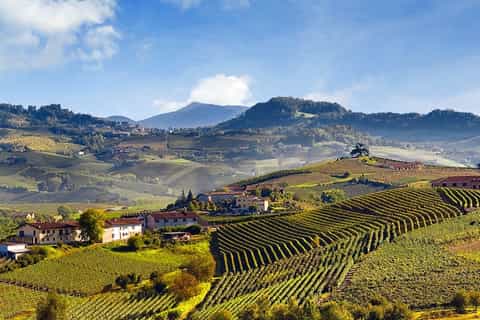 Piemonte: tour privato con degustazione di vini nel Barolo