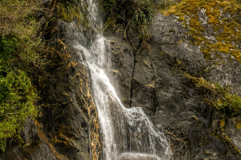 Queenstown to Franz Josef Tour via Wānaka (One-Way)