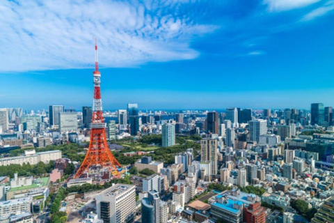 Tokyo: Private 1-Day Tour with English-Driver, Customizable