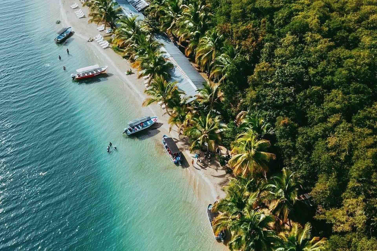 Isla Colon: Vogeleiland, Boca del Drago en Zeesterrenstrand...