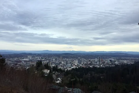 Discover Portland: Half-Day Small Group City Tour