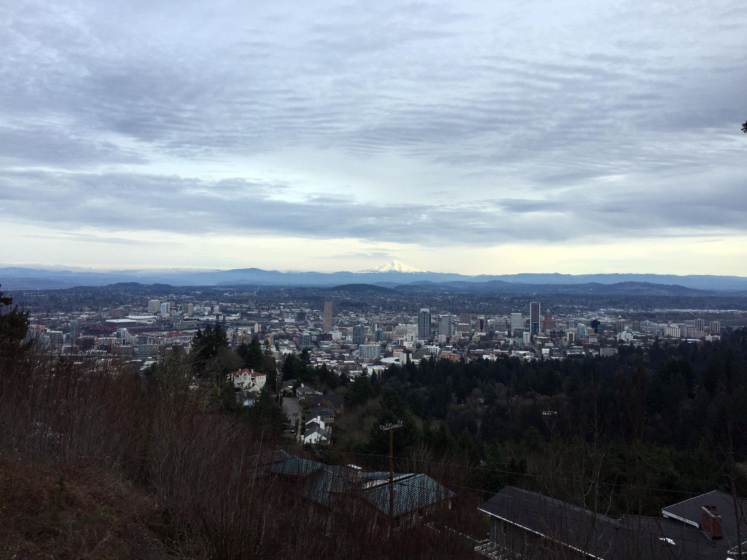Entdecke Portland: Halbtagestour Kleingruppentour Stadtführung