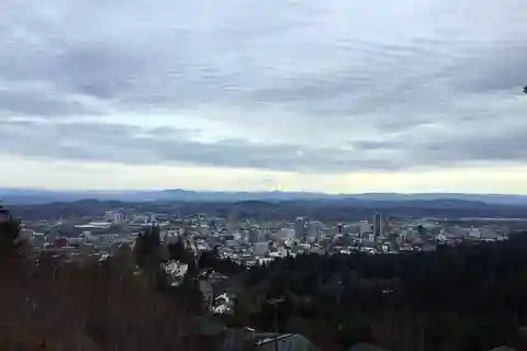 Discover Portland: Half-Day Small Group City Tour