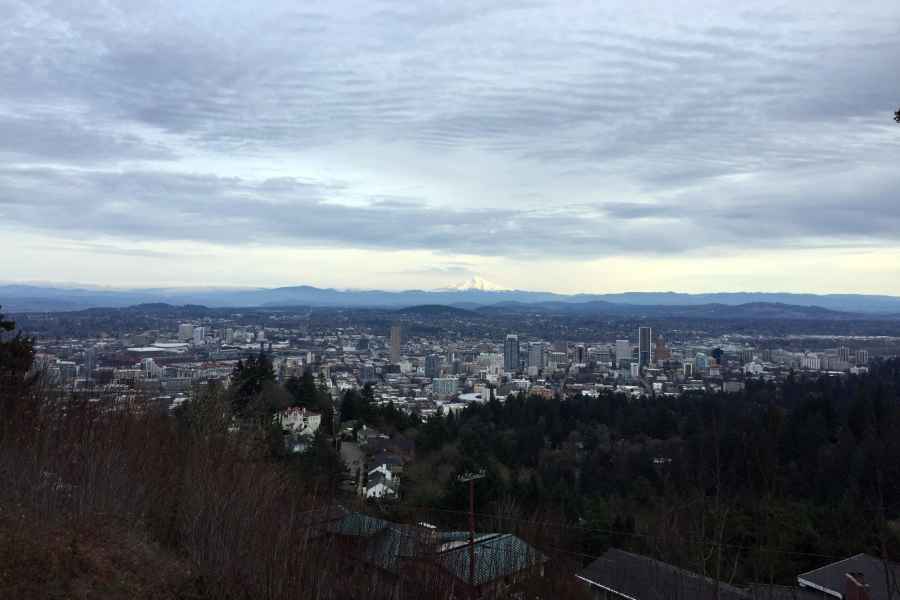 Entdecken Sie Portland: Halbtägige Kleingruppen-Stadtrundfahrt. Foto: GetYourGuide