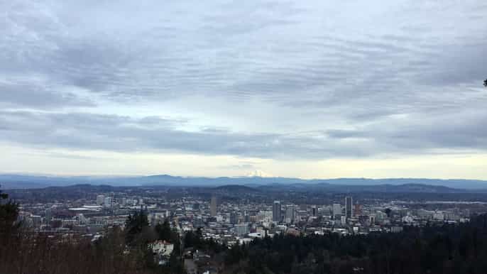 discover portland halfday small group city tour