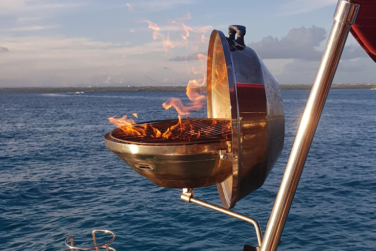 Saona Island: Private Yacht Tour with Lunch & Pickup