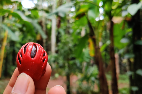 Goa : Visite de la plantation d'épices et déjeuner traditionnel local