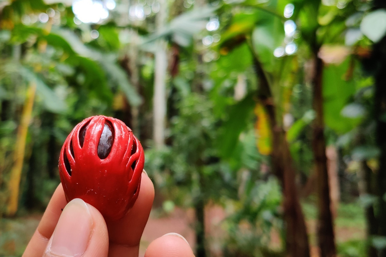 Goa: Spice Plantation Tour en traditionele lokale lunch