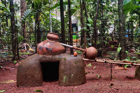 Goa: tour della piantagione di spezie e pranzo locale tradizionale