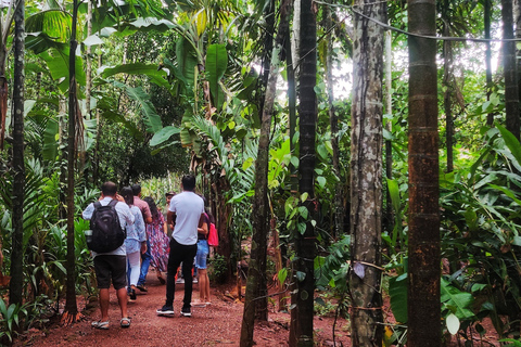 Goa : Visite de la plantation d'épices et déjeuner traditionnel local