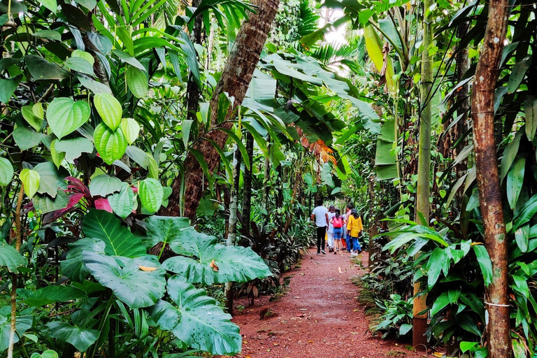 Goa: Kryddplantager och traditionell lokal lunch