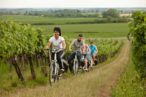 tokaj wine region bike tour with vineyard picnic