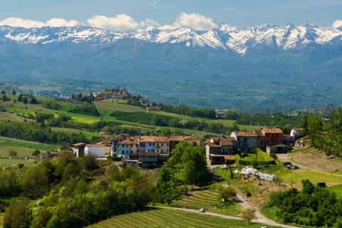 Langhe aus Mailand: Weintour mit Trüffeljagd und Mittagessen