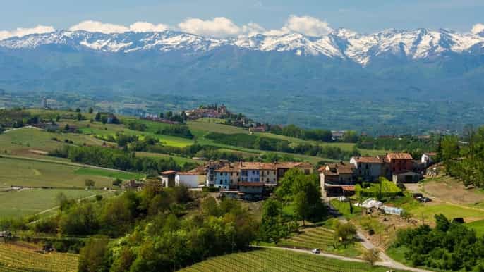 langhe tour con vino caccia al tartufo e pranzo da milano