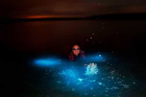 Koh Rong Sanloem: Snorkel Tour with Bioluminescent Plankton