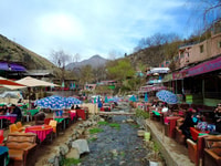 From Marrakesh, Ourika Valley & Atlas Mountains Day Tour - Housity