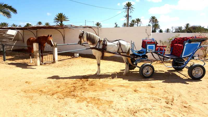Djerba: Visit to Midoun Market by Carriage