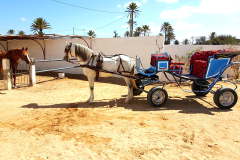 Blaue Lagune 2H Kutschfahrt in DjerbaTraditionelle Pferdekutschenfahrt in Djerba
