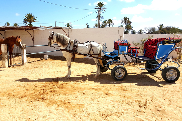 Blaue Lagune 2H Kutschfahrt in DjerbaTraditionelle Pferdekutschenfahrt in Djerba