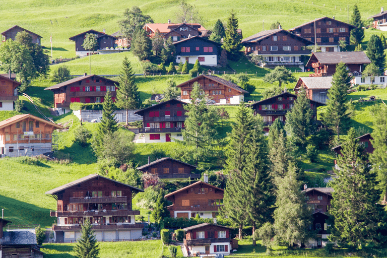 Interlaken e Grindelwald (excursão particular)