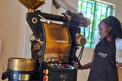 TOUR GIORNALIERO DELLA FATTORIA DEL CAFFÈ FAIRVIEW