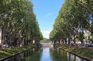 Düsseldorf : visite citadine sympa et guidée en anglais ou en espagnol