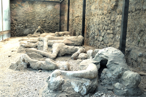 Pompeji: EintrittskartePompeji Reservierter Eintritt Wochentagsticket