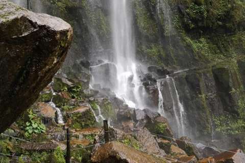 Depuis Bogotá : randonnée à la cascade La Chorrera et repas