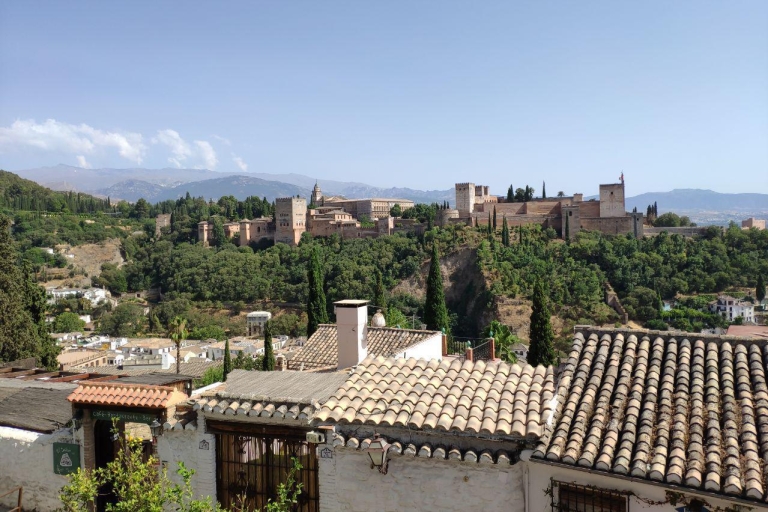 Granada: tour histórico de 3 horas en SegwayTour estándar con guía