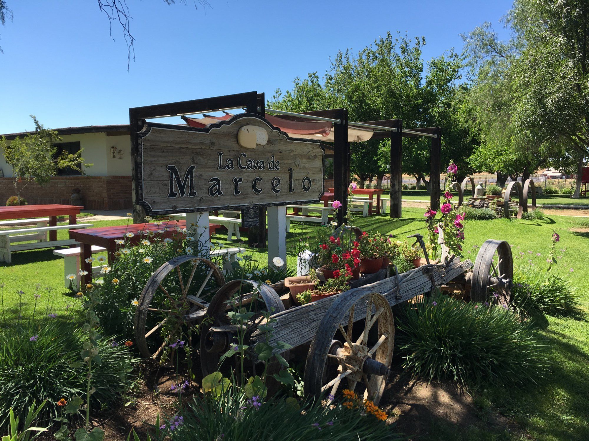 Valle de Guadalupe: Wein & Käse Tour