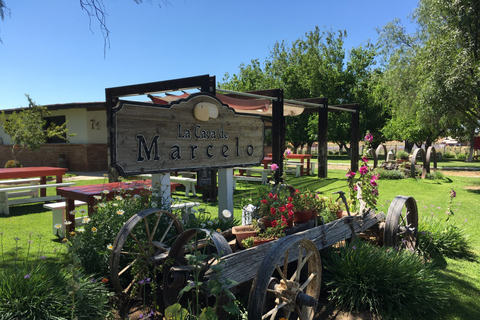 Valle de Guadalupe: Wine &amp; Cheese Tour