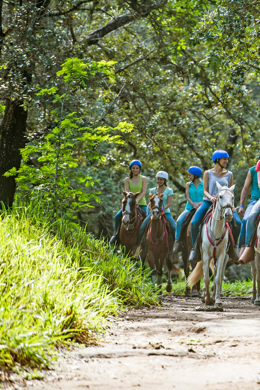 Horseback Riding Tour to the Oropéndola Waterfall logo