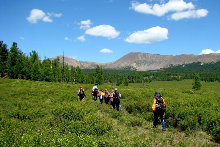1 Day Horseback Riding Tour with Historic Temple