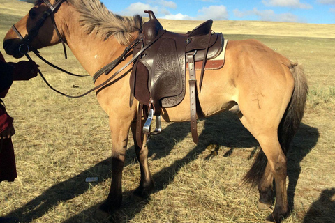 1 Day Horseback Riding Tour with Historic Temple