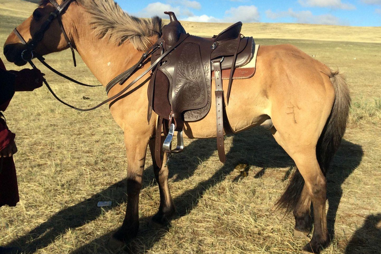 1 Day Horseback Riding Tour with Historic Temple