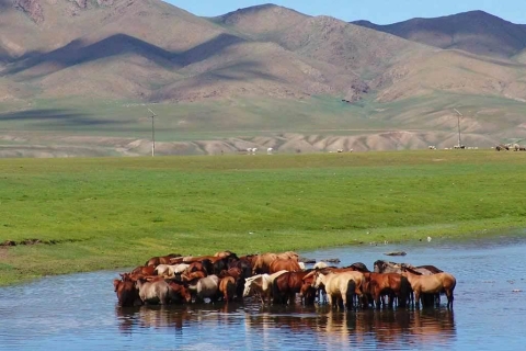 Van Ulaanbaatar: dagtocht naar Hustai National Park