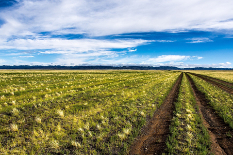 Desde Ulaanbaatar: excursión de un día al Parque Nacional Hustai