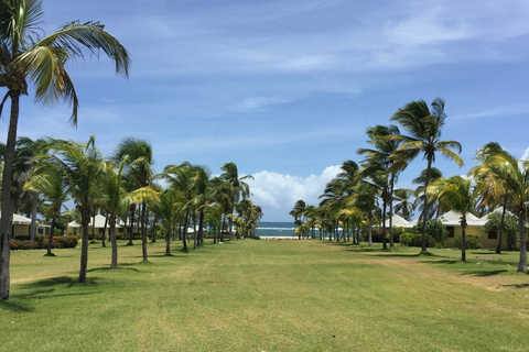 St Kitts: Nevis Island Tour och strandtid med lunch