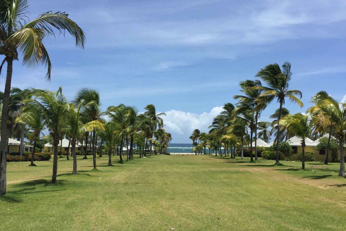 St. Kitts: Nevis Island Tour und Strandzeit mit Mittagessen
