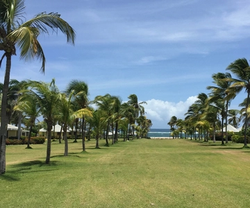 St. Kitts: Nevis Island Tour and Beach Time with Lunch