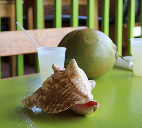 Food & drinks