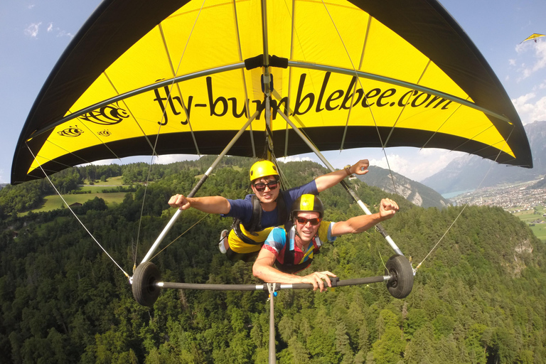 Interlaken: Tandem Hang Gliding Flight over Alps & Lakes