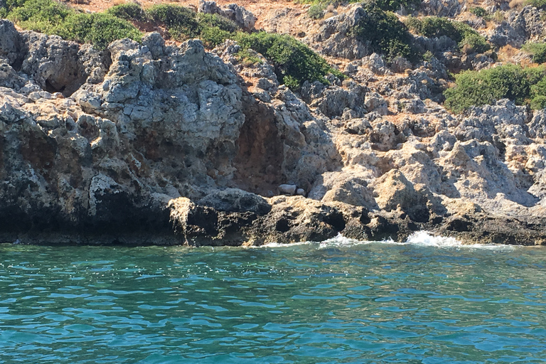 Chania: Boat Cruise to Agioi Theodoroi and Lazaretta Island